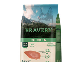 bravery chicken adulto