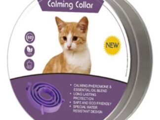 Collar calming gato