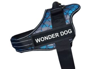 Arnes Wonder Dog XXL