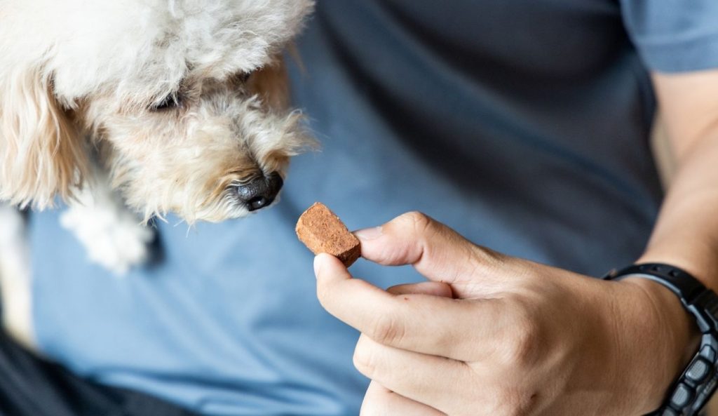 Antiparasitario para perros